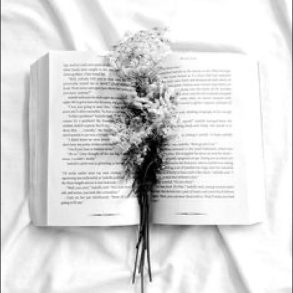 Meet your Posher, Raegan